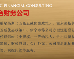 霍爾果斯商服顧問的財(cái)務(wù)咨詢 助力企業(yè)跨境發(fā)展